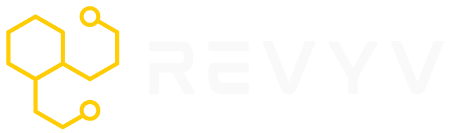 Revyv Web and SEO agency in ottawa